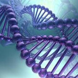 Genetic-Based Nutritional Blueprints Available- Ask About How to Make Your 23 & Me Results Work For You!