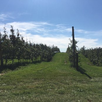 Pine Tree Apple Orchard - On hayride - Bakeries Near Me - White Bear Lake, Minnesota Pine Tree Apple Orchard - On hayride - Bakeries Near Me - White Bear Lake, Minnesota