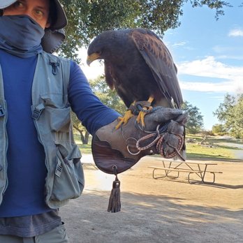 Sky Falconry - Kirk teaching about the unique behavior of birds of prey. - Specialty Schools Near Me - Alpine, California Sky Falconry - Kirk teaching about the unique behavior of birds of prey. - Specialty Schools Near Me - Alpine, California