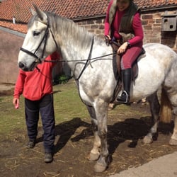 Harelaw Equestrian Centre - Bonnie boy!!