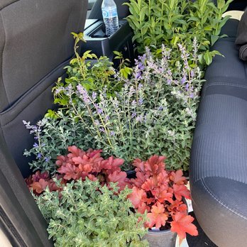 Old Valley Nursery - Look at that eye candy!!! - Nurseries & Gardening Near Me - Eagle, Idaho Old Valley Nursery - Look at that eye candy!!! - Nurseries & Gardening Near Me - Eagle, Idaho