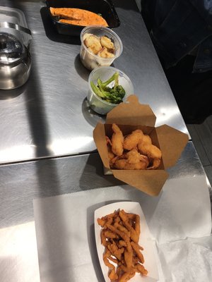 Angel Fish Market by null