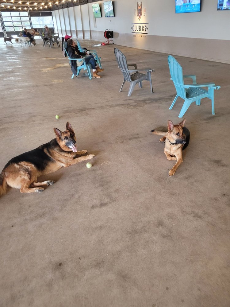 Club K9 Dog Park Bar