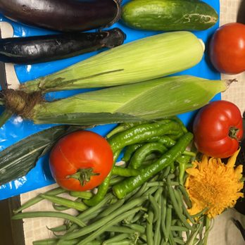 Wesley Wells Farm - Some goodies from the U-pick! - Pick Your Own Farms Near Me - St. Augustine, Florida