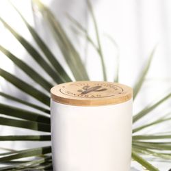 Hannah Faye Studio