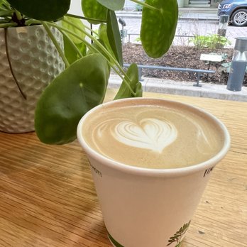 Dollop Coffee - Mexican Mocha - Cafes Near Me - Chicago, Illinois Dollop Coffee - Mexican Mocha - Cafes Near Me - Chicago, Illinois
