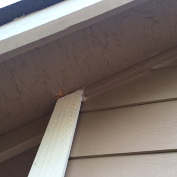 Seagon Contracting - Nebiye's sloppy paint work - Painters Near Me