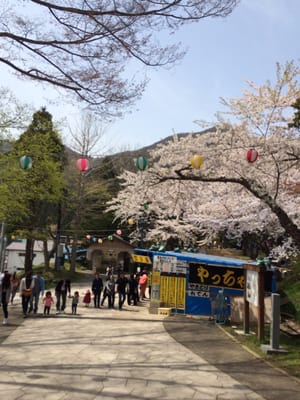 Hakodate Park by null