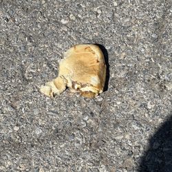 Donuts N Boba - So nasty threw it out along with the other two. The guys said the same thing