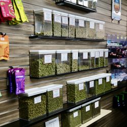 Fired Cannabis - Evans - Fired Cannabis Dispensary Evans Ave Denver Colorado interior