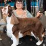 Photo of Hair of The Dog Pet Salon