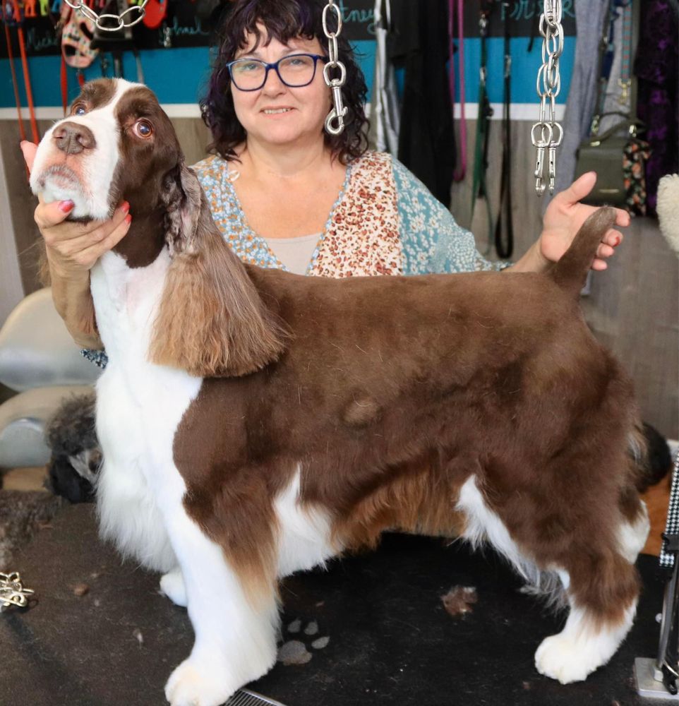 Hair of The Dog Pet Salon - pet boarding facility in Asheville, NC