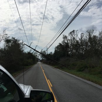 Tree’s and Green’s - Hurricane in Louisiana - Tree Services Near Me Tree’s and Green’s - Hurricane in Louisiana - Tree Services Near Me