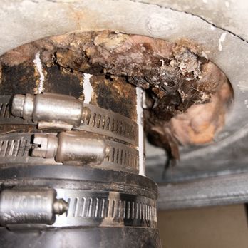 THS Plumbing - Epoxy Coating Repair - Plumbing Near Me - Sarasota, Florida THS Plumbing - Epoxy Coating Repair - Plumbing Near Me - Sarasota, Florida
