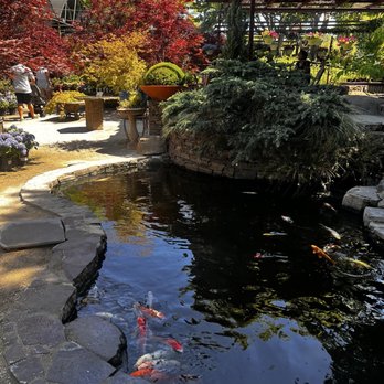 High Hand Cafe - Koi pond in front of entrance - New American Near Me - Loomis, California