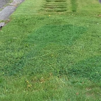 The Lawn Boys - Gutter Services Near Me The Lawn Boys - Gutter Services Near Me