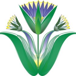 Lotus Wellness Center