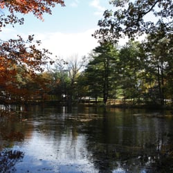 Orchard Cove