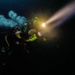 Compass Dive and Sail
