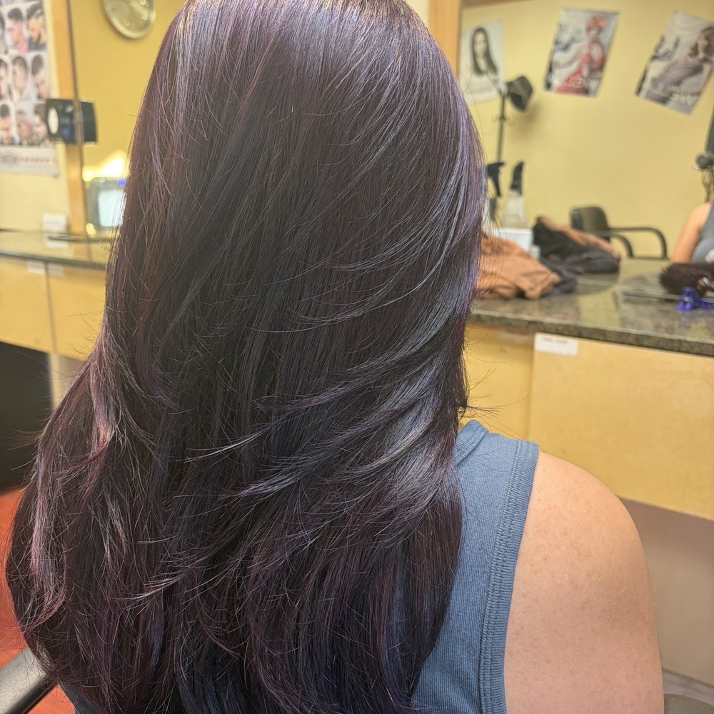 Salon Muse - Purple hair with layers - Hair Salons Near Me - San Bruno, California Salon Muse - Purple hair with layers - Hair Salons Near Me - San Bruno, California