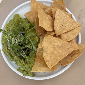 The Surfing Fox - Guacamole and Chips v, gf - New American Near Me - Santa Monica, California The Surfing Fox - Guacamole and Chips v, gf - New American Near Me - Santa Monica, California