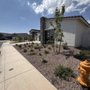 Photo of Desert Brothers Landscaping