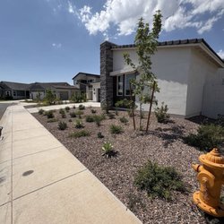 Desert Brothers Landscaping