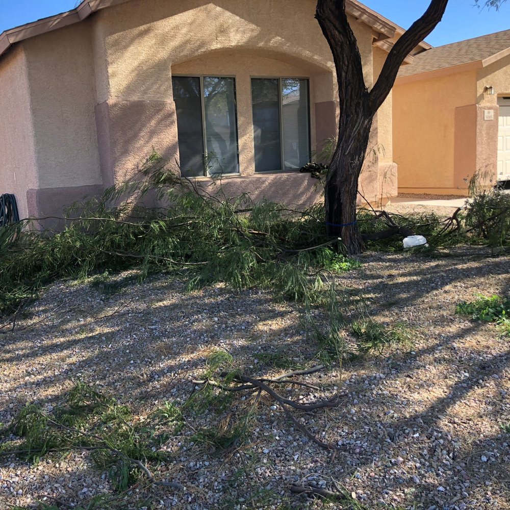 All Yard Work - tree service in Tucson, AZ