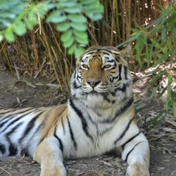 ZOO Duisburg