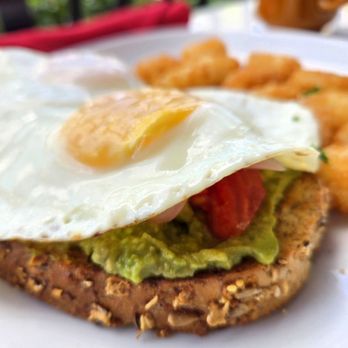 Saquella Cafe - South Beach avo! - Breakfast & Brunch Near Me - Boca Raton, Florida Saquella Cafe - South Beach avo! - Breakfast & Brunch Near Me - Boca Raton, Florida