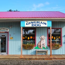 The Gingham Dog