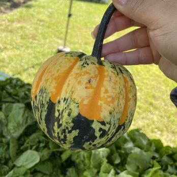 Flywheel Park - Produce from Piermont farmers market at Flywheel park - Parks Near Me - Piermont, New York Flywheel Park - Produce from Piermont farmers market at Flywheel park - Parks Near Me - Piermont, New York