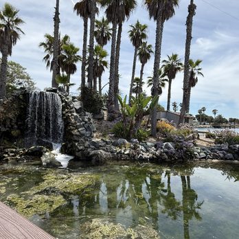 Barefoot Bar & Grill - New American Near Me - San Diego, California