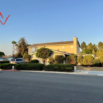 Don Williams Landscape & Trees - After:  California Sycamore stump grinded - Tree Services Near Me - Orange, California