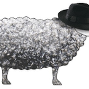 Holland Hats - Holland Hats - Black Sheep of the Family Logo - Hats Near Me - Hamden, Connecticut Holland Hats - Holland Hats - Black Sheep of the Family Logo - Hats Near Me - Hamden, Connecticut