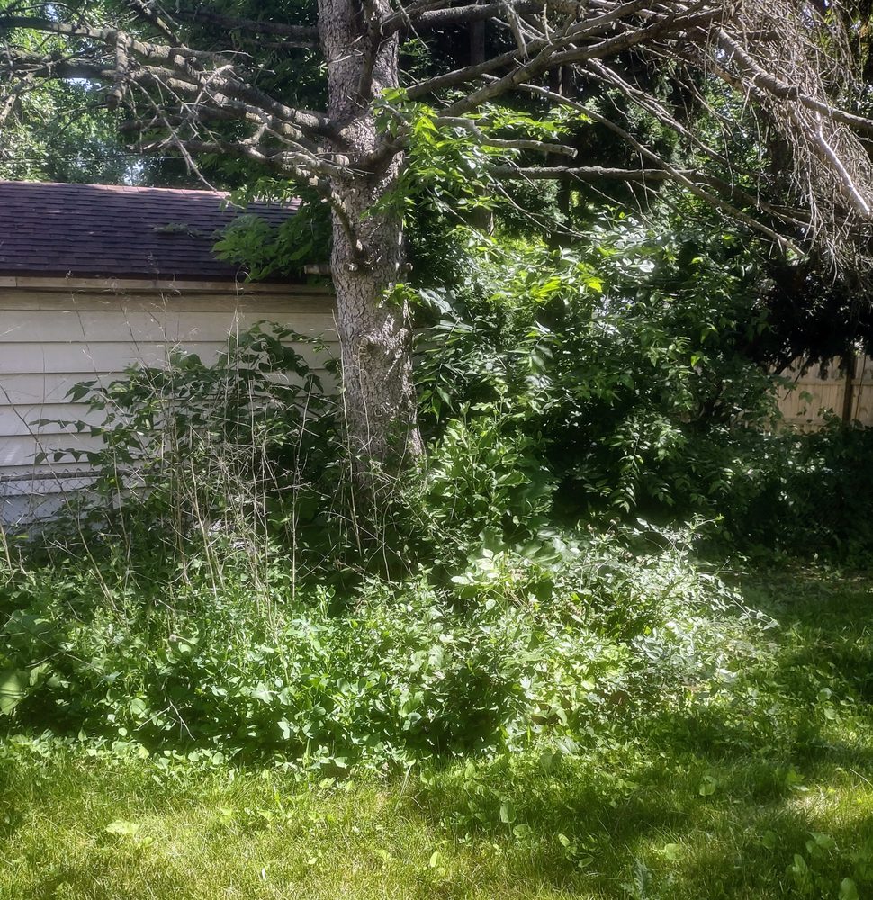 CREW CUTTERS Updated August 2024 West Milwaukee, Wisconsin