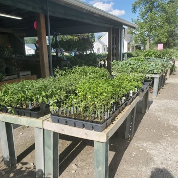 Bayer's Melon Farm - Vegetable plants - Farmers Market Near Me - Dayton, Ohio