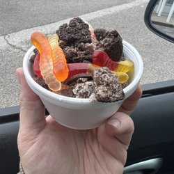 Ritters Frozen Custard - Worms and dirt