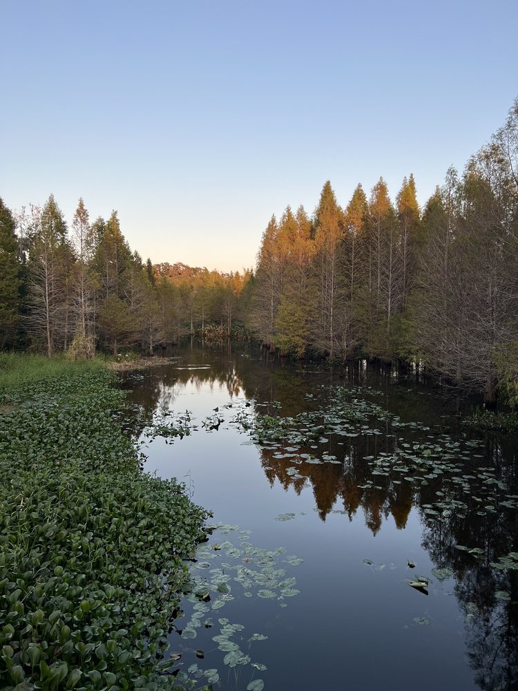 Ream Wilson Trail Image
