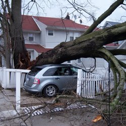 Tree Fellas Tree Service - Storms cause often avoidable damage. We offer free bi-annual inspections to help you keep your home and family safe