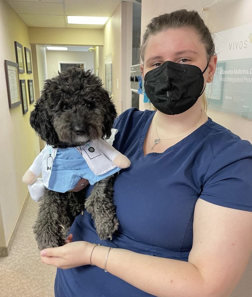 MILLBROOK SMILES 321 Boston Post Rd, Sudbury, Massachusetts General