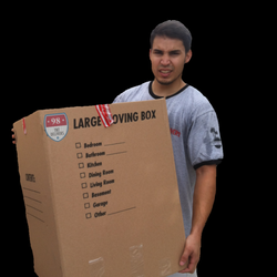 TNT Delivers