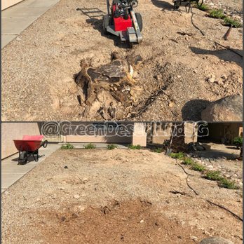 Green Desert Stump Grinding - Tree Services Near Me Green Desert Stump Grinding - Tree Services Near Me