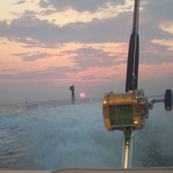 Reel Buzz Charters