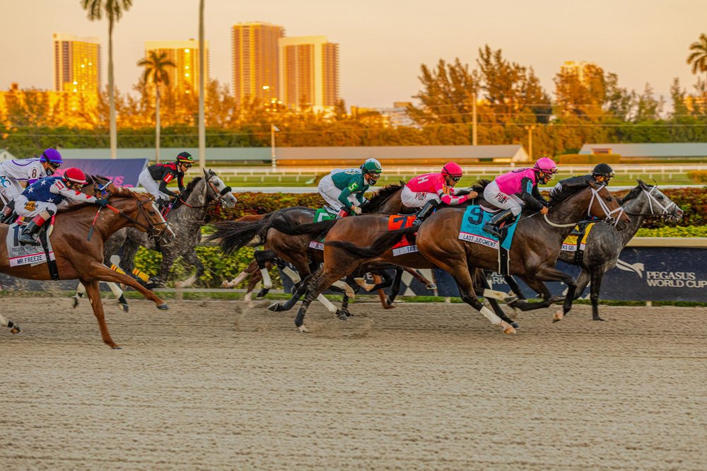 Gulfstream Park Updated February 2025 907 Photos 276 Reviews