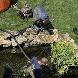 Paradise Ponds - The wonderful technicians are doing what they do best