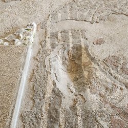 Fishbourne Roman Palace - Mosaics