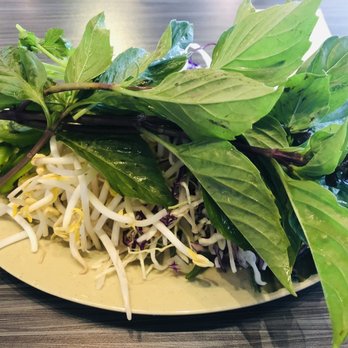 Pho Ben - Heights - Side sprouts and vegetables - Vietnamese Near Me - Houston, Texas Pho Ben - Heights - Side sprouts and vegetables - Vietnamese Near Me - Houston, Texas