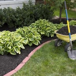 Grassmaster Lawn Care - GrassMaster Lawn Care