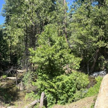 Sierra Inn - Little stream - Hotels Near Me - Kyburz, California Sierra Inn - Little stream - Hotels Near Me - Kyburz, California